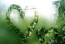 欢乐棋牌真的能带来纯粹的欢乐吗？